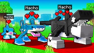 Nacimiento a Muerte de un BRAINROT en Minecraft