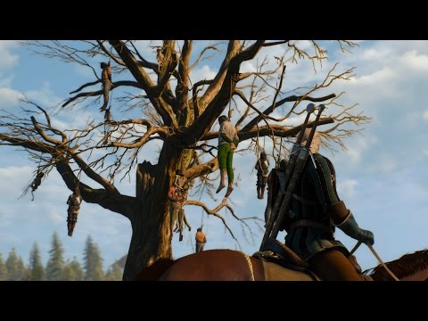 Обзор Ведьмак 3: Дикая Охота - после 12 часов. PC, 60fps. The Witcher 3: Wild Hunt