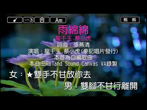 雨綿綿-龍千玉&蔡小虎(Karaoke伴奏)