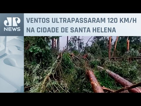 Tornado causa destelhamento e queda de árvore em SC