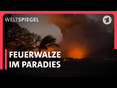 Hawaii nach dem extremen Feuer | Weltspiegel