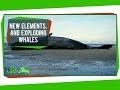 Understanding Elements and Their Properties