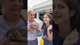 BEIJEI UM RATO DE VERDADE