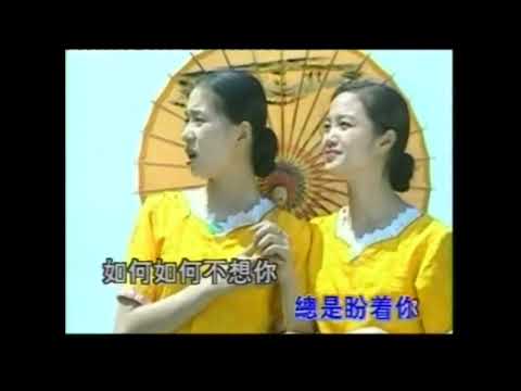 陳良泉  – 想要忘了你 Original Karaoke