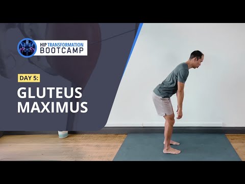 HIP TRANSFORMATION BOOTCAMP: Day 5 Gluteus Maximus