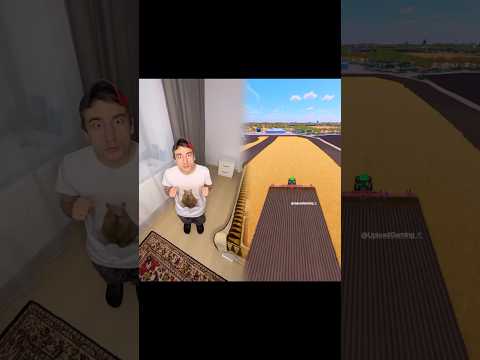 Cat thief and kittens #humor #recommendations #joke