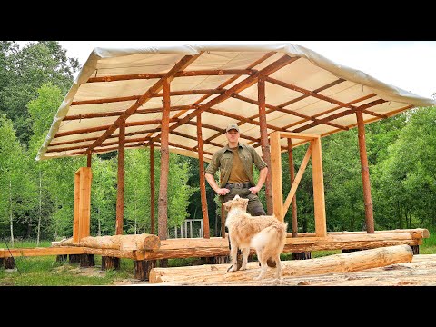 I'm Making a Large Temporary Roof for My Off Grid Log House With My Dog, Ep3 - Summer heat