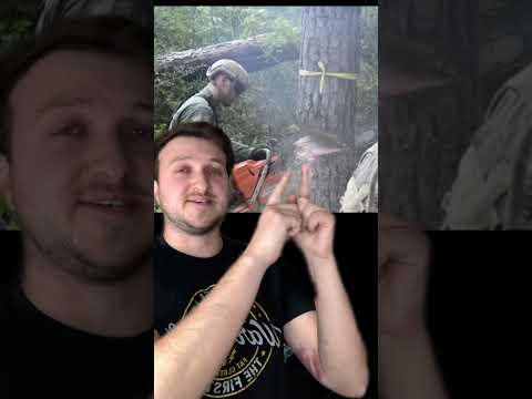 Soldiers Tank Vs Tree. #shorts #army