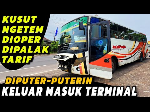 "BUS GENDENG ‼️🔥 NGETEM SEHARIAN MUTER-MUTER TERMINAL 🔥" | Trip Report Kusut Naik Bus JAWA INDAH