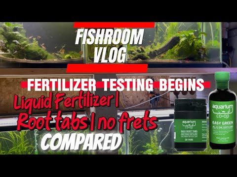 Fertilizer Test Begins! Liquid, Root Tabs & No Fer Welcome back to My Fishroom Vlog! In this episode, I’m taking the next step in my planted tank jou