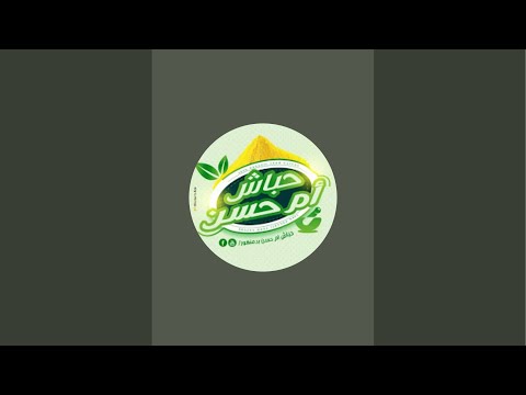 بدأت قناة "حباش ام حسن بدمنهور" بثًا مباشرًا