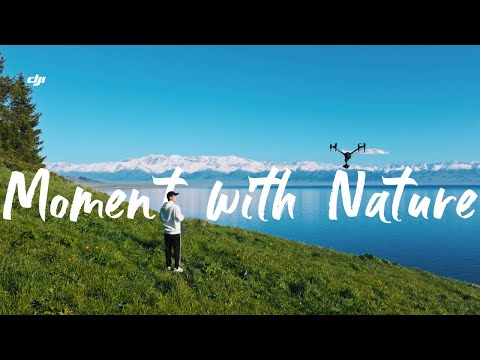 DJI Inspire 3 | A Moment With Nature