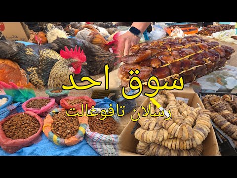 سوق رسلان تافوغالت اقليم بركان