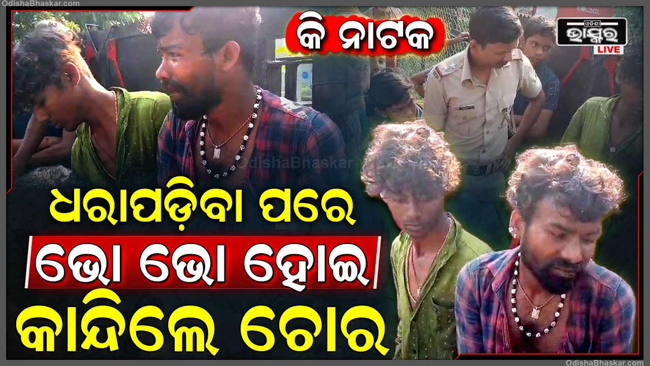 ବାବାରେ କି ନାଟକ... ଧରାପଡିବା ପରେ ଗାଁ ଲୋକଙ୍କ ଆଗରେ ଭୋ ଭୋ ହୋଇ କାନ୍ଦିଲେ, ଦୃଶ୍ୟ ଦେଖି ସବୁ ବାଇଆ...