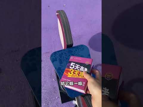 "Fake Plastic Notebook" ll Carriage House wooden artist ll #cartoon​ #shortvideo​  