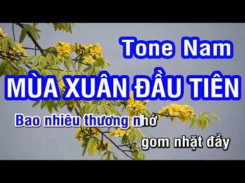 Karaoke Mùa Xuân Đầu Tiên Tone Nam | @Nhan KTV