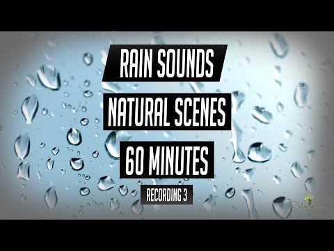 Thunderstorm Sounds 60 Minutes of Hurricane Florence from SC, Sleep Sounds Nature Scene Recording #3