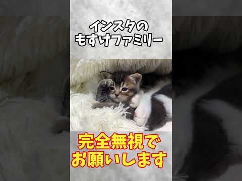 重大なお知らせ！インスタ乗っ取られているのでご注意ください