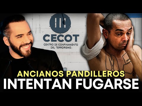 El SALVADOR HOY 19 de Junio 2025, Noticias de El Salvador 19 de Junio 2025, EL SALVADOR pandilleros