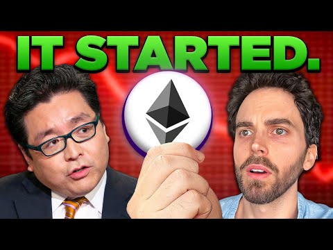 Tom Lee: The Cryptocurrency Supercycle Has Begun (DO THIS NOW)