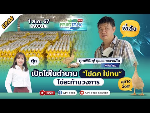 FarmTalkEP.88CPSuperเป็ดไข่ในตำนานไข่ดกไข่ทนไข่สะท้านวงการ