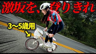 【検証】サイクリストなら幼児車でも山登れる！？