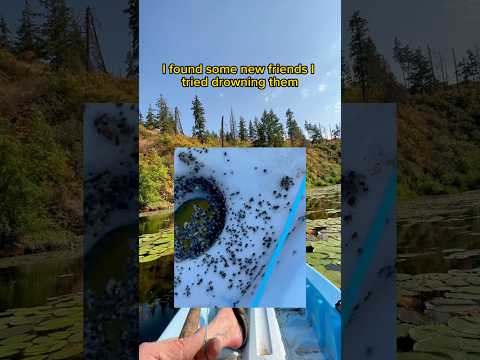 Kayak fishing 🛶🎣 With ticks❓#fishingvideo