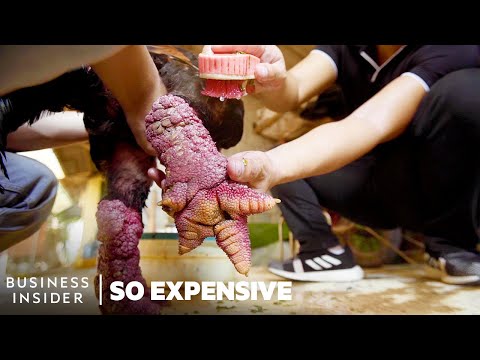 Why Đông Tảo Chickens Are So Expensive | So Expensive