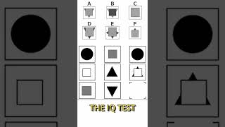 IQ Test - Mensa Finland Puzzle 26