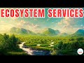 Ecosystem Services and Their Importance