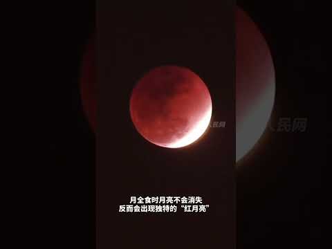 【分享美好！2026唯一一次月全食，你拍到了嗎？】