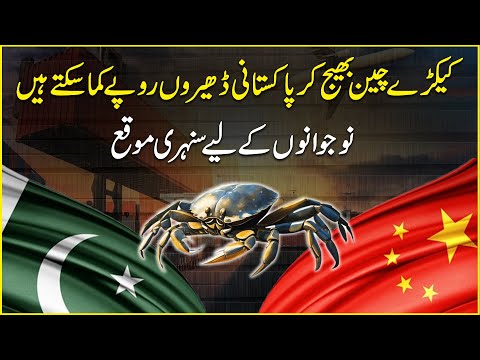 Kekray China bhej kar Pakistani dhero ropay kama saktay hain, nojwano k liye sunehri moqa