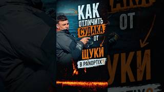 СУДАК ИЛИ ЩУКА? Как отличить рыбу в PANOPTIX
