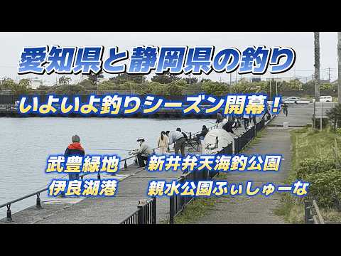愛知県と静岡県の釣り・釣りシーズン開幕・武豊緑地、伊良湖港、新居弁天海釣公園、親水公園ふぃしゅーな「車中泊で北海道~沖縄日本全国釣りの旅」