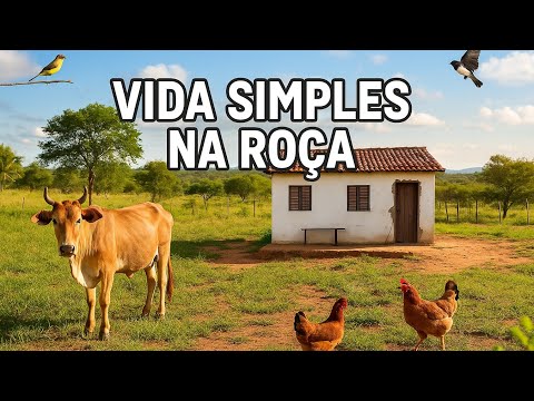 Belezas da Roça Nordestina 🌾