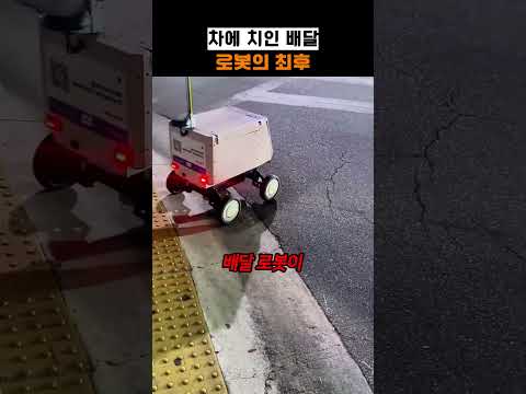 차에 치인 <strong>배달</strong> 로봇의 최후