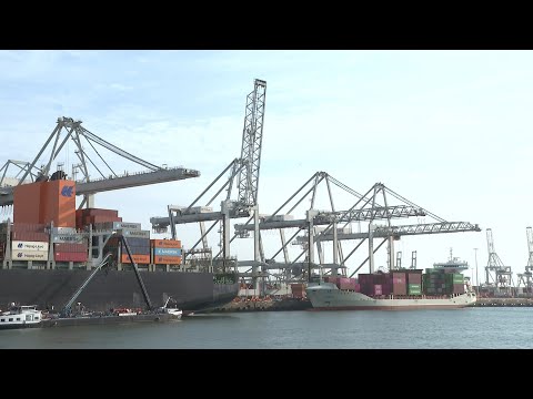 Rotterdam's harbour as US tariffs take effect on the EU | AFP