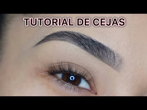 Tutorial De Cejas Paso A Paso