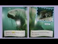 Ocean Life and Ecosystems