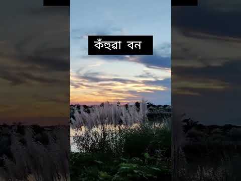 #naturebeauty #beautyofnature #amazingnaturevideo #subscribemychannel #viralshort