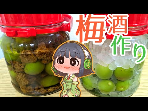京町セイカの梅酒作り『氷砂糖＆黒糖』