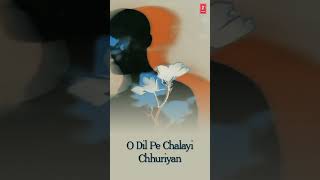 Dil Pe Chalayi Chooriyan #90severgreen #trendingshorts #90shindisongs #trendingvideo #sonunigam