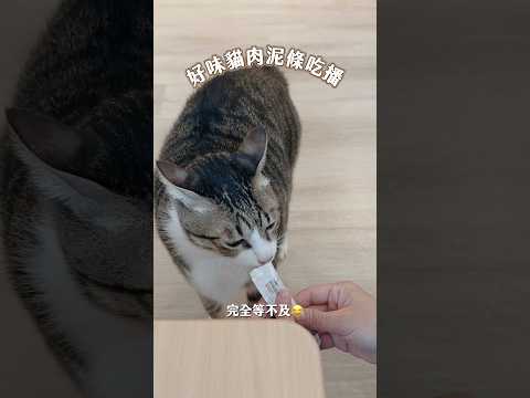 好味貓肉泥條吃播！