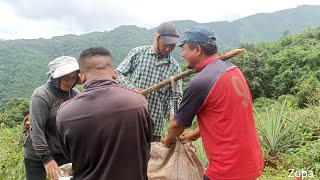 Lunglei lamah lakhuithei zuar ve leh dawn thung ang aw