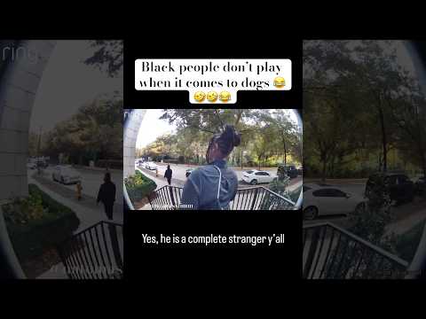 Black people donโt play around with dogs ๐. They donโt even know each other ๐คฃ #Laughs #Jokes #Dogs