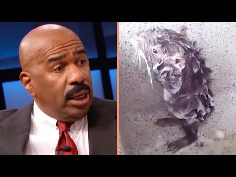 Rat Caught Taking a Shower, Human-Style! 🐭🚿 II Steve Harvey