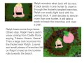 Ralph's Encounters and Symbolism
