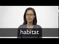 Understanding Repetition in Language