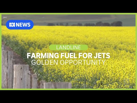 YouTube video thumbnail: Farming Fuel: Manufacturing jet Fuel From oil Seeds I Landline