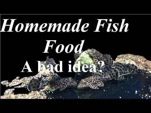 Making Your Own Fish Food? Should you? #pleco #aqu Is feeding your aquarium fishes homemade food a good idea? There is more to it then it looks for fee